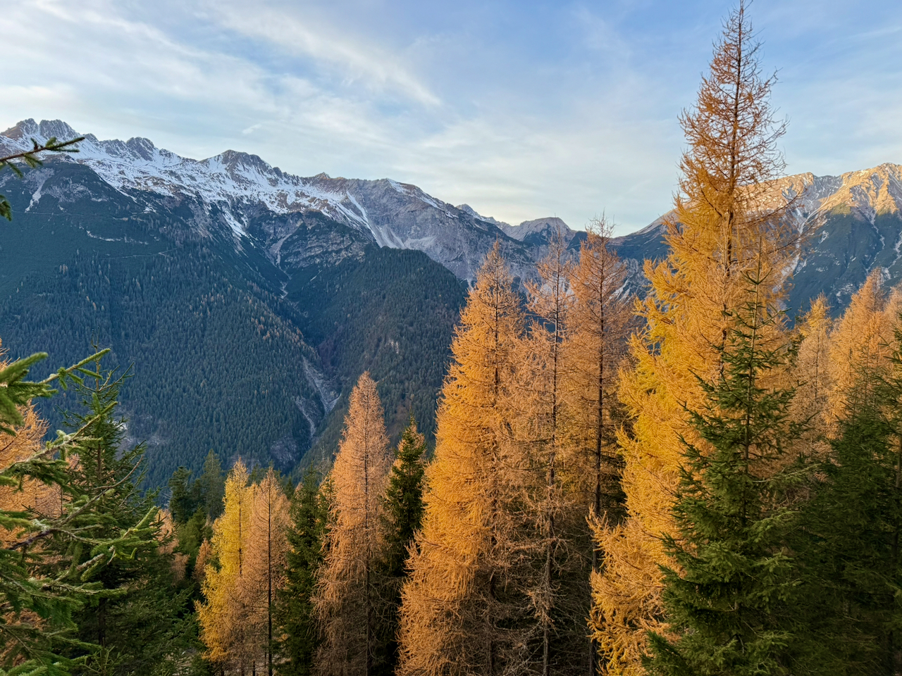 Nachhaltige Wälder